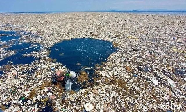 可降解PLA口罩和包裝（zhuāng）成熱門