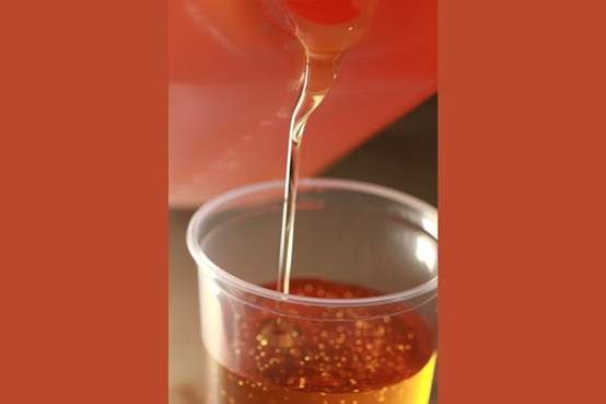 Will & Co.與Checkerspot合作，將新型生物（wù）基材料和藻類聚氨酯材料組合帶給歐洲產品創（chuàng）