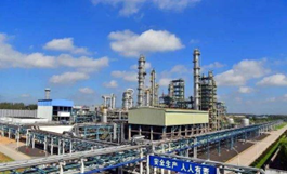 儀征化纖生（shēng）物可降解聚酯標（biāo）準化項目入選省級試點