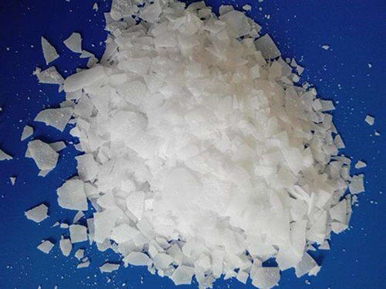 諾力昂世界級有機過氧化物基（jī）地在津投產，支持（chí）亞洲聚合物行（háng）業發展