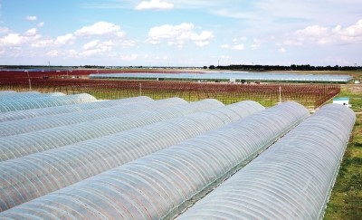 大慶石化高檔寬幅棚膜專用樹脂（zhī）新產品（pǐn）成為提質增效新（xīn）亮點