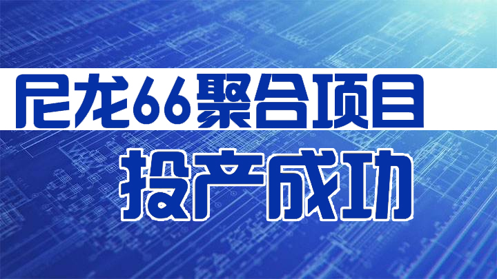 新力新材“尼龍66聚合項目”正式投產成（chéng）功（gōng）